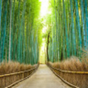 Meet your Posher, Margo